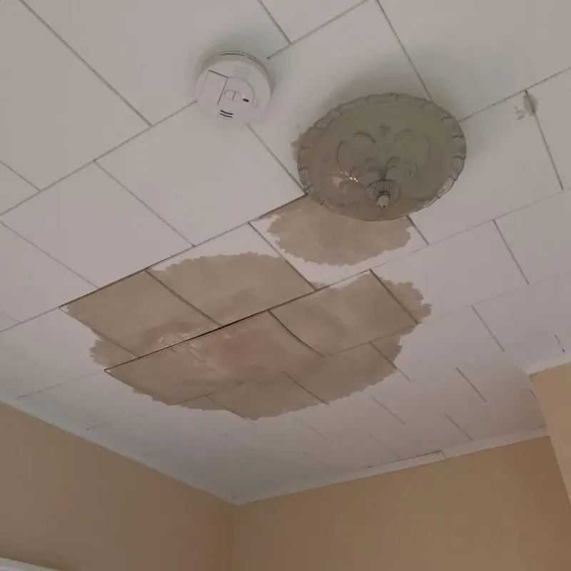 Ceiling Water Damage Repair in Dravosburg, PA