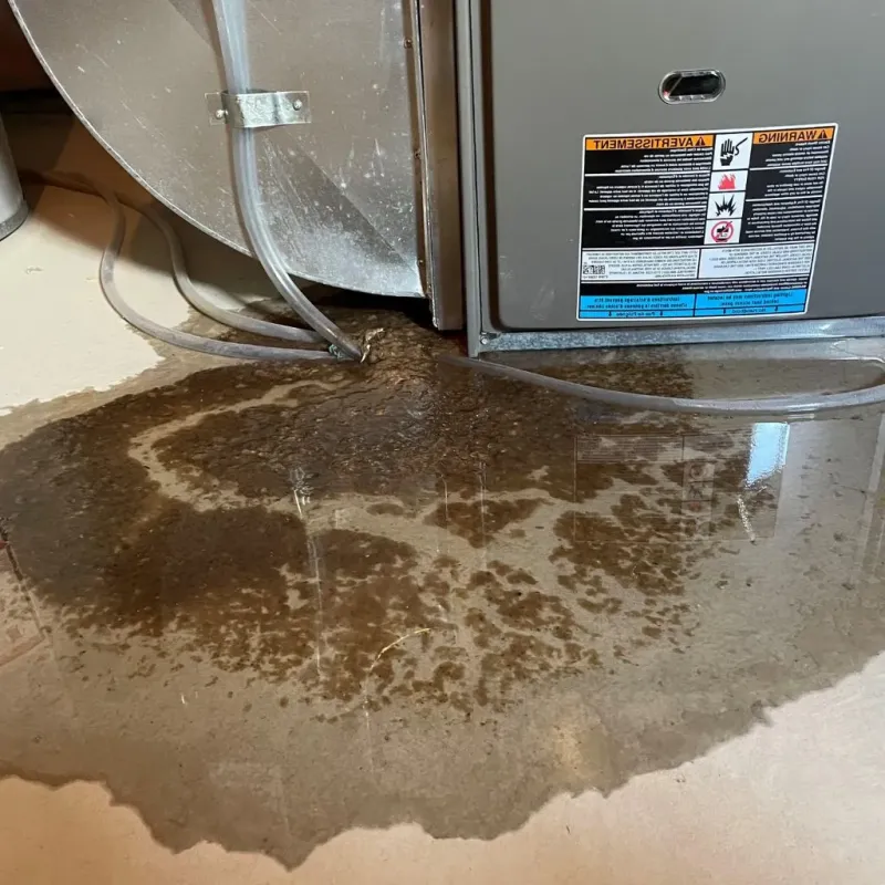Pipe Burst and Leak Restoration in Dravosburg, PA