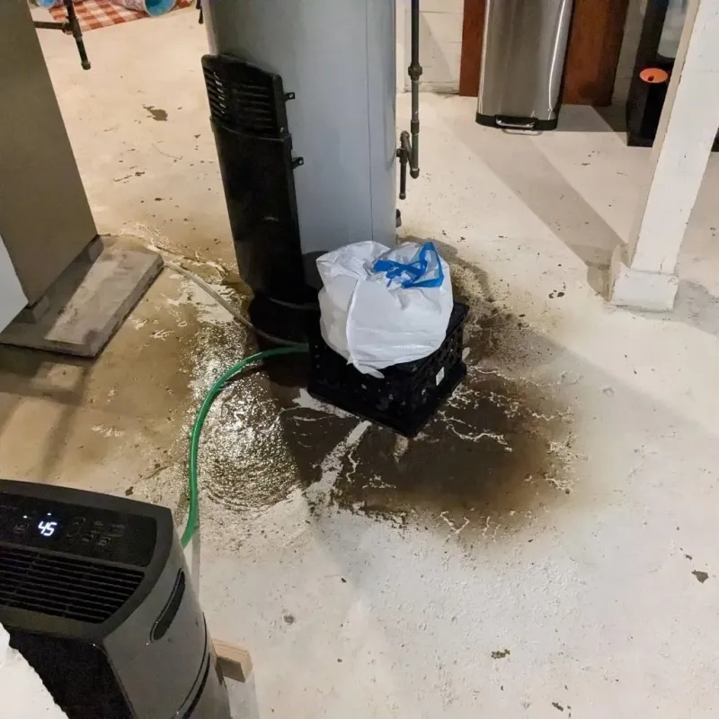 Sewage Backup Cleanup Service in Dravosburg, PA